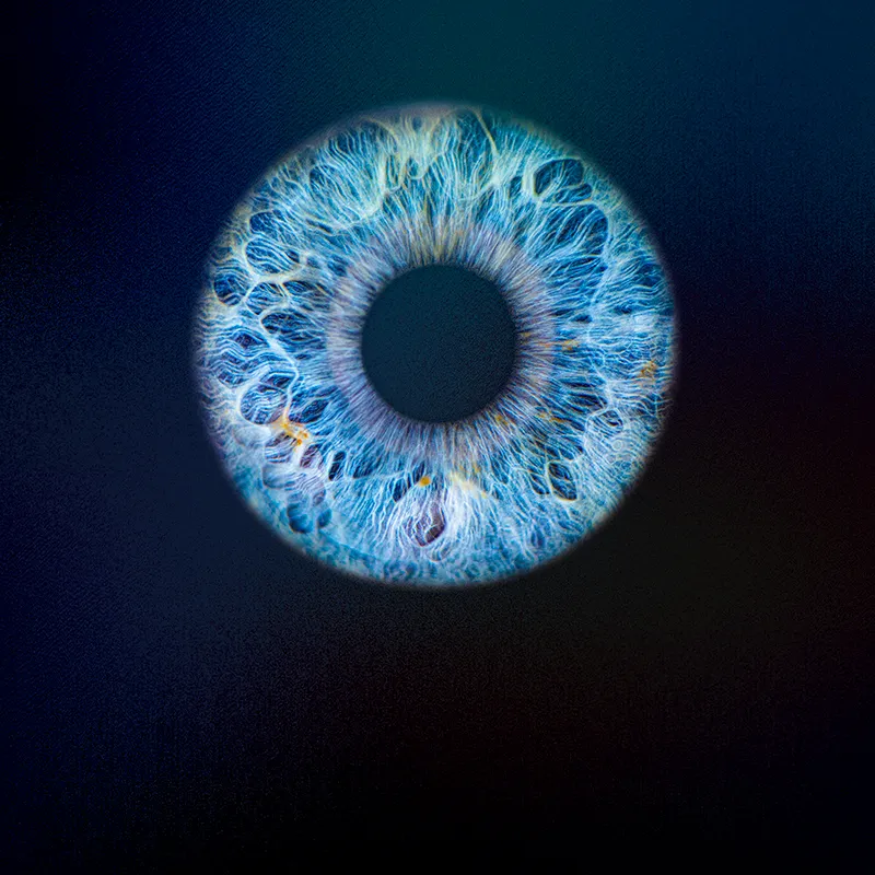 Close-up of eye pupil